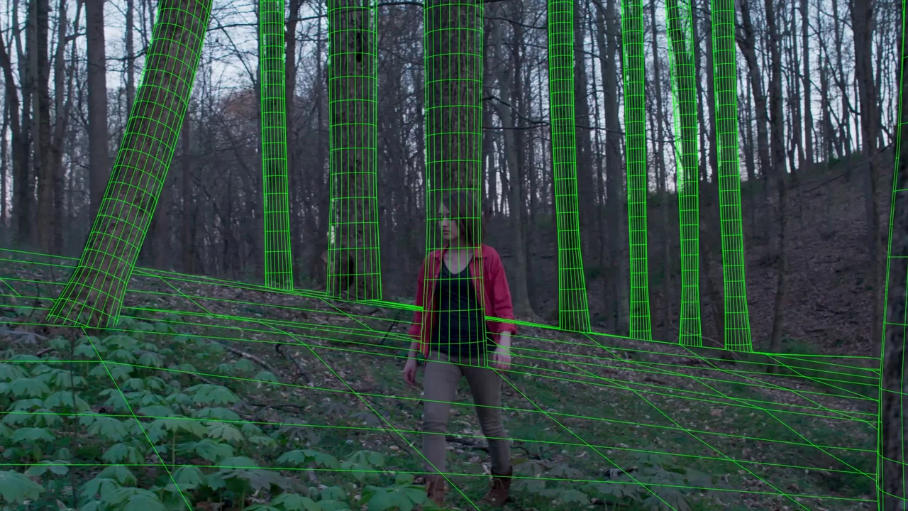 Camera Tracking & Forest Proxies — wireframe overlay on Forest footage