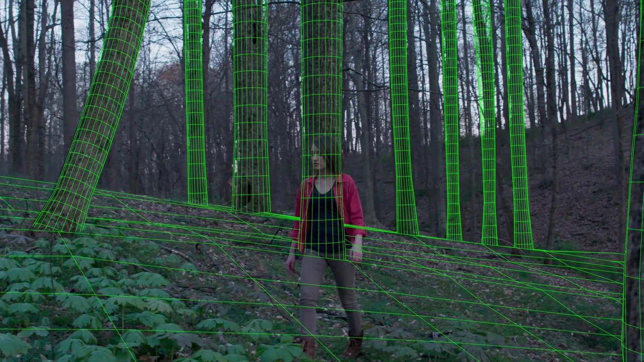 Forest camera track: wireframe at the corresponding source frame